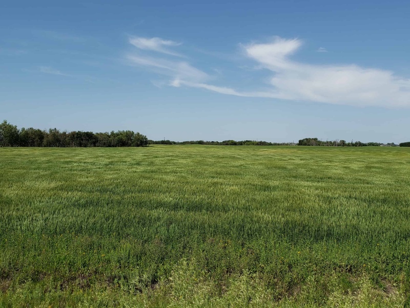 Saskatchewan, ,Investment,For Sale,1005